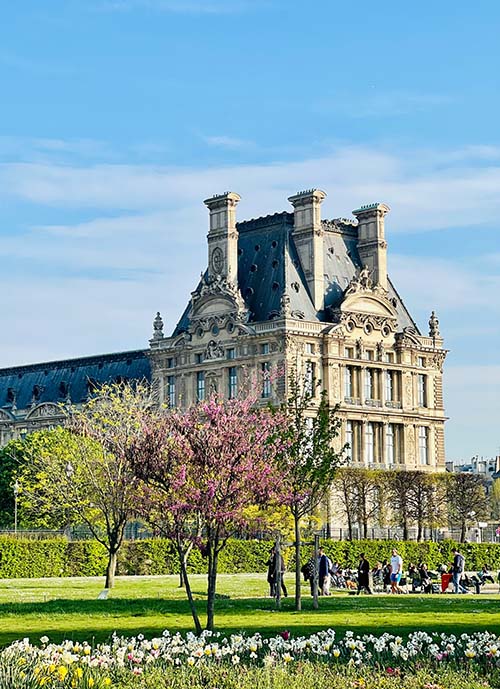 Stephanie klepacki yOlM4S aKbQ unsplash